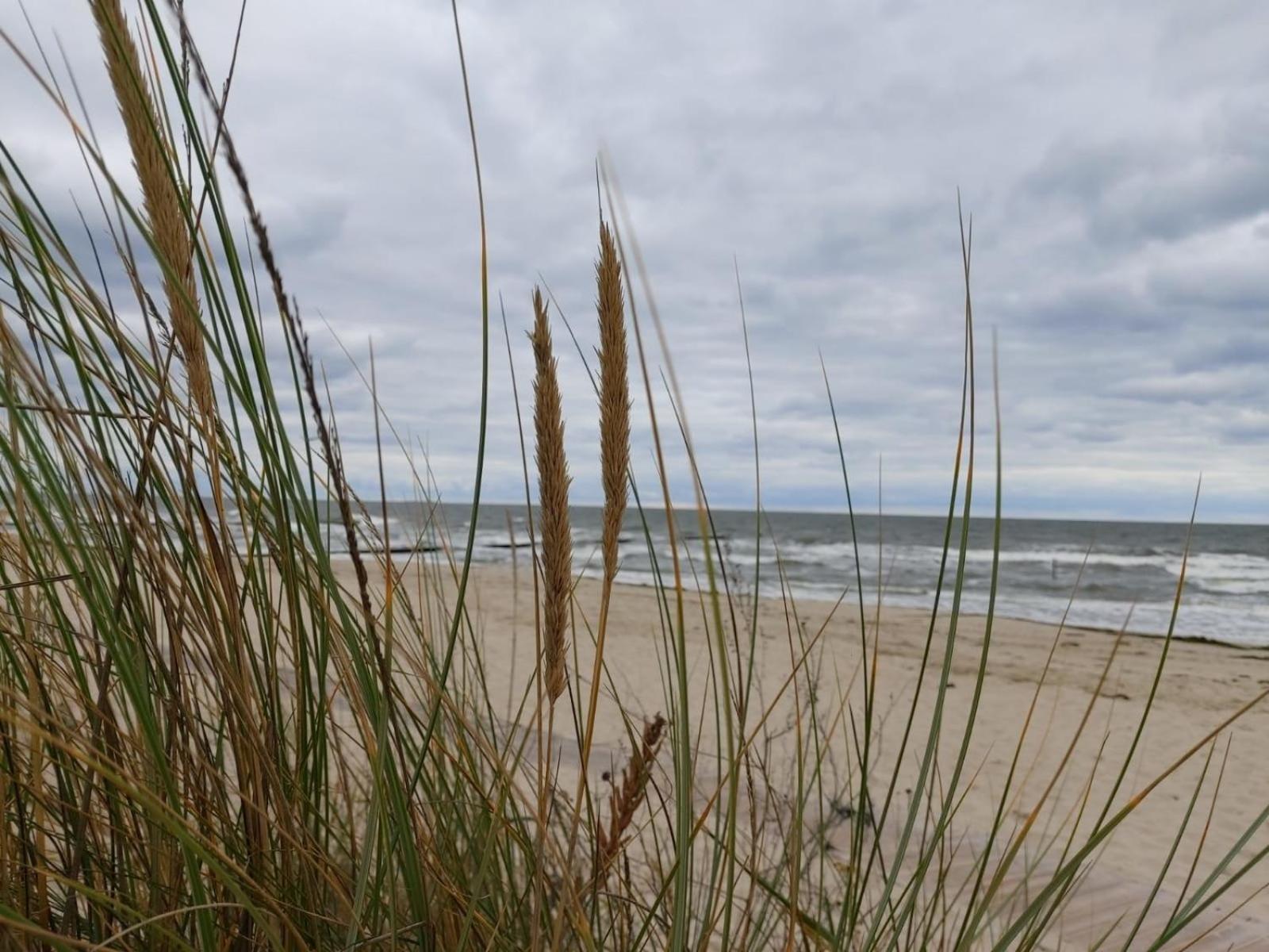 Ostsee Ferienhaus Usedom Hundefreundlich Familie Stopp Haus 22 Lutow Luaran gambar